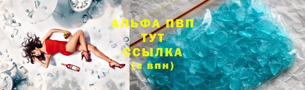 стаф Абинск