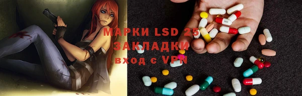 стаф Абинск