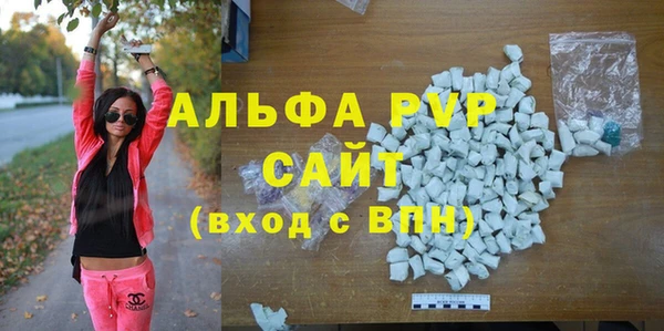 стаф Абинск