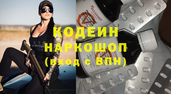 хмурый Липки