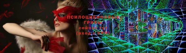 стаф Абинск